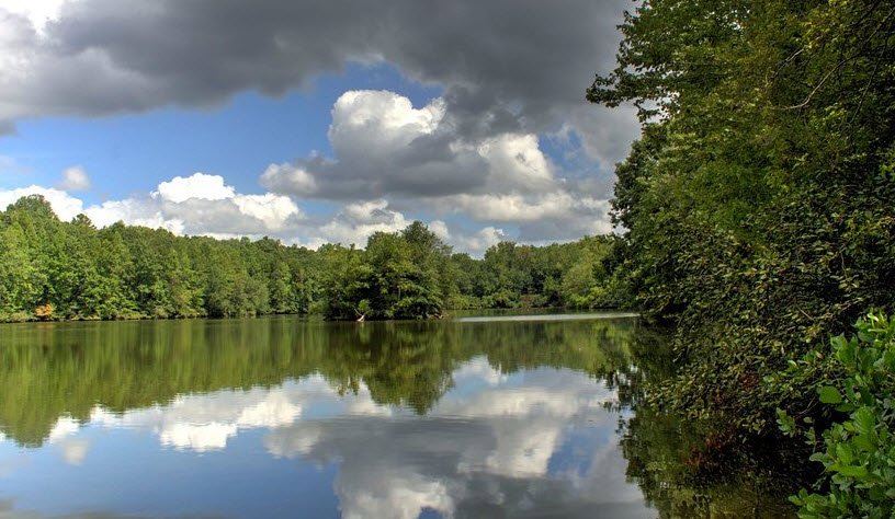 Andrew Jackson State Park, South Carolina, USA